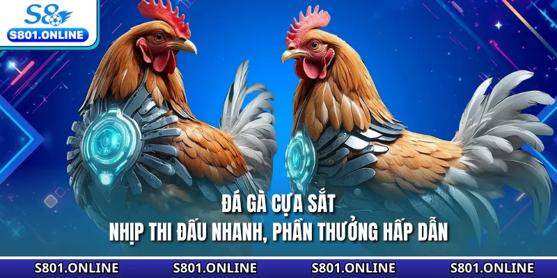 Đá Gà Cựa Sắt - Nhịp Thi Đấu Nhanh, Phần Thưởng Hấp Dẫn