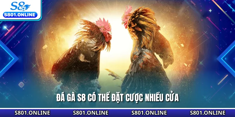 Đá gà S8 có thể đặt cược nhiều cửa