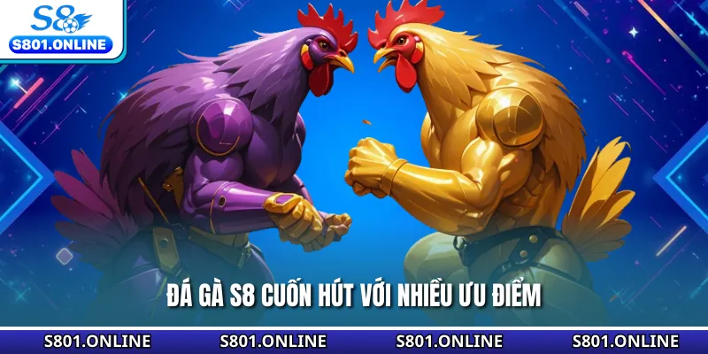 Đá gà S8 cuốn hút với nhiều ưu điểm