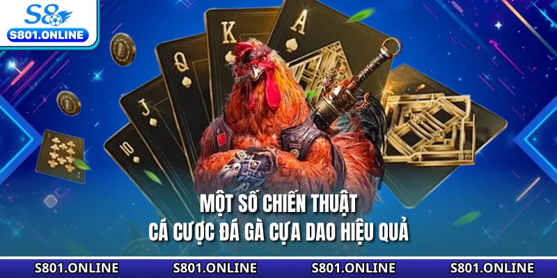 Một số chiến thuật cá cược đá gà cựa dao hiệu quả